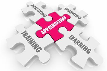 Apprenticeship On the Job Training Learning Puzzle