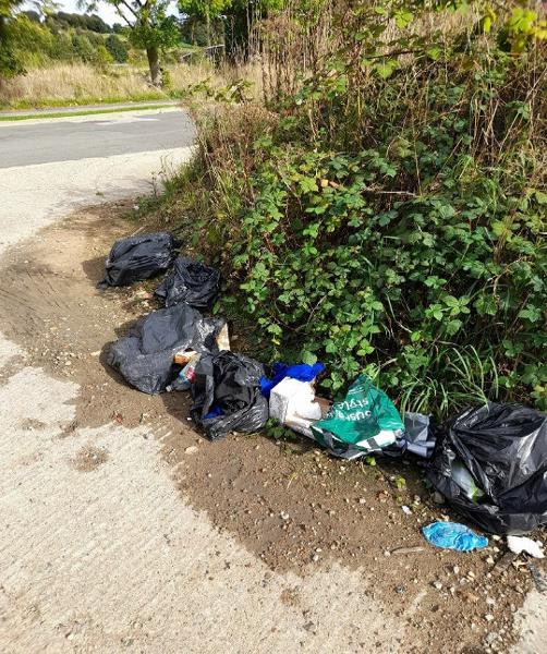 Rachel Cant - fly-tip off Dale Road in Shildon - April 20223 PR