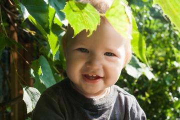 Closeup portrait of a little boy in leaves