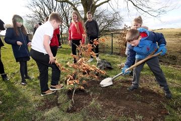 Children from Woodland Primary School planting a tree