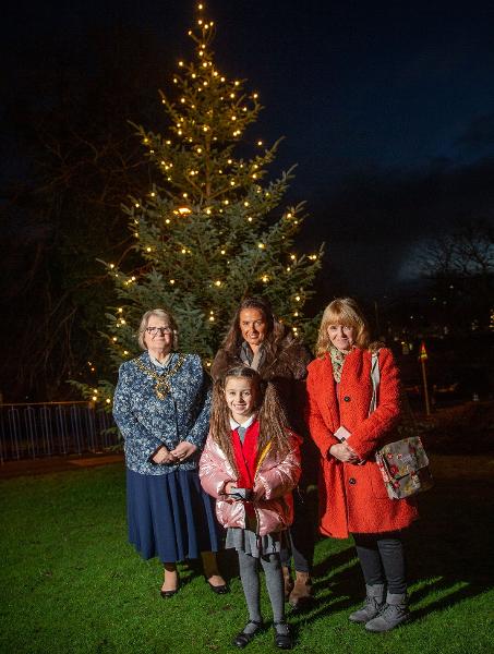 Festive lights spread Christmas cheer - Durham County Council